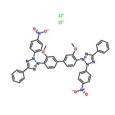 CAS:298-83-9|Nitro mėlynasis tetrazolio dichloridas