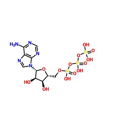 CAS: 56-65-5 Adenozino trifosfatas