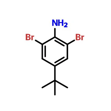 CAS:10546-67-5|2,6-dibromo-4-(tret-butil)anilinas